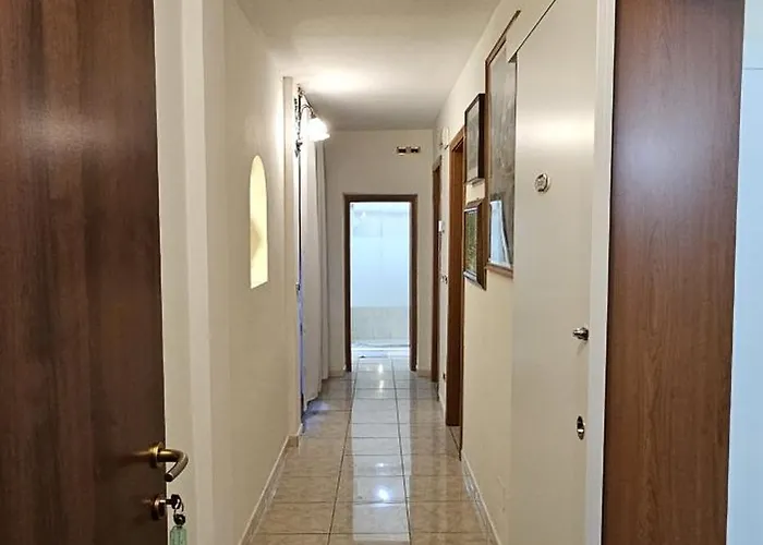 King And 博洛尼亚